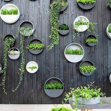 Hanging Wall Planter Concrete Outdoor