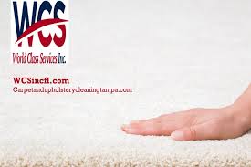 carpet upholstery cleaners ta
