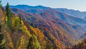 new attractions in gatlinburg pigeon