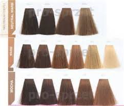 Prototypal Matrix Socolor Hair Color Chart Rusk Hair Color