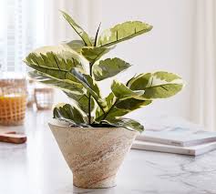 This simple tree comes in a black planter's pot that can be nested into the decorative container of your choice. Faux Potted Rubber Houseplant Pottery Barn