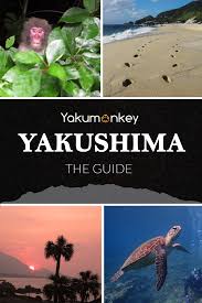 Tide Times In Yakushima Yakushima A Visitors Guide