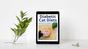 diabetic cat ts jess caticles