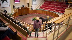 We have made extensive changes to our offices, depot and delivery operations to ensure a safe and secure operating environment for all. Another Dose Of New Normal As Ireland S Biggest Yearling Sale Comes To Doncaster Bloodstock News Racing Post