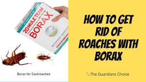 how to get rid of roaches with borax