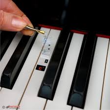 Savesave noten auf der klaviatur finden for later. Notenaufkleber Fur Keyboard Bis Zu 61 Tasten