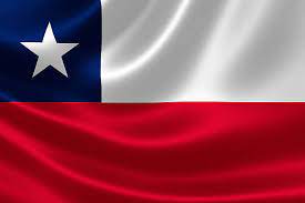4.900+ Bandera Chilena Fotografías de stock, fotos e imágenes libres de derechos - iStock | Fiestas patrias chile, Huaso, Copihue