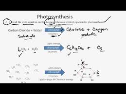 2 18 Photosynthesis Equations You