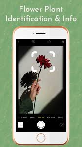 Flora incognita is an automated flower identification app available for you to use. Flower Plant Identification Free Download App For Iphone Steprimo Com