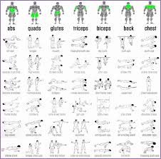 4 Bodybuilding Exercises Chart Free Download Work Out