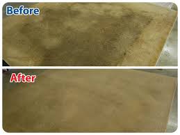 best rug cleaning services in columbia