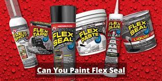 What Is A Flex Seal Is It Paintable