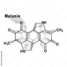 melanin molecule structural chemical