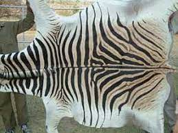 african crafts market zebra hides