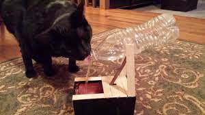 The activated carbon filter removes bad tastes and odors, while the free falling stream of water entices your pet to drink more. Diy Cat Water Fountain 3 Steps Instructables