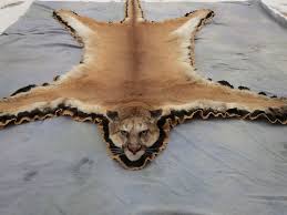 cougar rug mounts