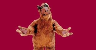 See more of alf on facebook. Alf S Coming Back From Melmac Tv Reboot Puts Gordon Shumway In A New Family