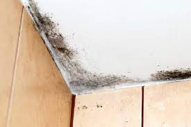 how do i remove black mold on the