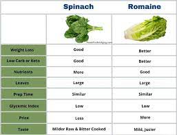 spinach vs romaine which is better an