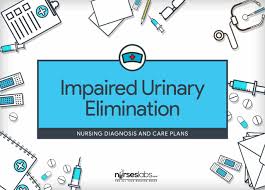 Impaired Urinary Elimination Nursing Diagnosis Care Plan
