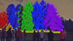 Tickets On Sale Today For Illumination Tree Lights At The