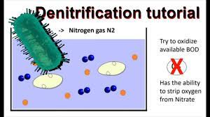 How does denitrification work and simultaneous nitrification/denitrification  - YouTube
