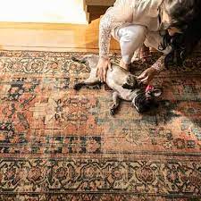 carpet cleaning in evansville in air