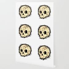 cute skull wallpaper to match any home