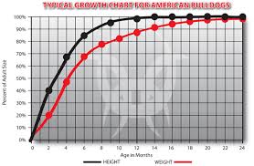 american bulldog weight charts and