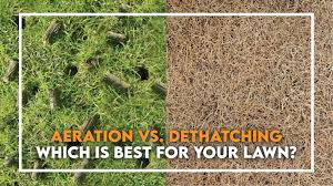 Remove any sprinklers or lawn fixtures depending on the kind of grass you have, your lawn may also need to be aerated after being dethatched. Aeration Vs Dethatching Which Is Best Tee Time Lawn Care
