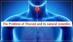 thyroid and its natural remes
