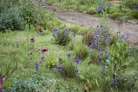 Garden design ideas, washington (district de columbia). Expert Advice 8 Tips For A Meadow Garden From Grass Guru John Greenlee Gardenista