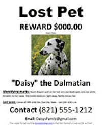 Free Lost Dog Cat Missing Pet Poster Ms Word Template
