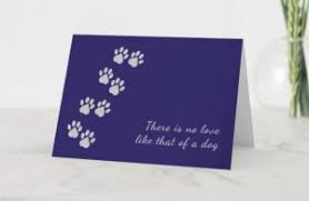 Details about pet sympathy card for loss of dog cat pet aqua foil paw print american greetings. The Best Pet Sympathy Cards That Are Thoughtful And Heartfelt