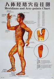 Colored Printing Chinese Acupuncture Trigger Point Acupoint