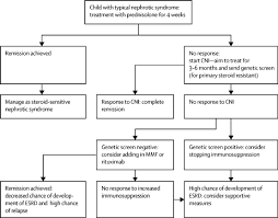 Management Of Steroid Resistant Nephrotic Syndrome In