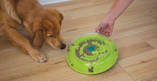 We did not find results for: The 6 Best Dog Puzzle Toys For Mental Stimulation Furtropolis