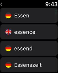 german dictionary on the app