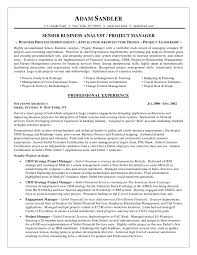 Business Analyst Cover Letter Examples Resume Photo Entry