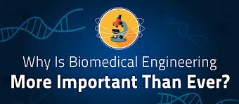 How Important Is Biomedical Engineering Today Cwru