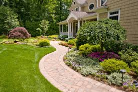 green lawn care services include cost