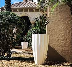 Large Planter Ideas Buyers Guide To