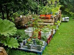 Container Gardening Vegetables Pallets