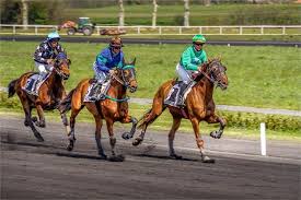 Courses de chevaux et traditions
