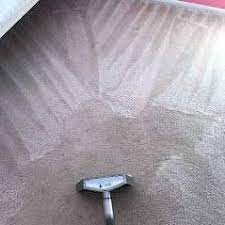westland carpet cleaning serviced by