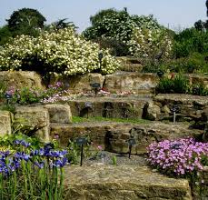 Rock Gardening Easy Guide 5 Tips To