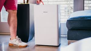 9 Best Dehumidifiers Of 2023 Reviewed