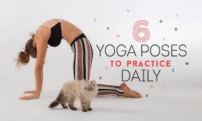 6 yoga poses for diffe times of the