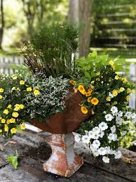 Container Gardening Tips And Tricks