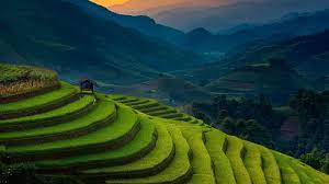 Landscape Photography Of Rice Terraces ...